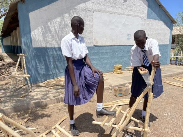 Kenijos mergaitės perpildo invazinį Mathenge medį į baldus – globalios problemos