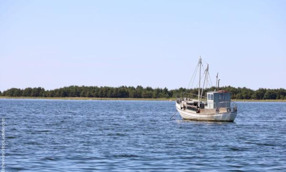 Pasiektas susitarimas dėl 2026 m. žvejybos galimybių Baltijos jūroje