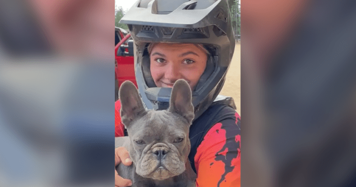 Australija teigia, kad „Dingoes“ rado aplinkui BC paauglį, kuris buvo nužudytas