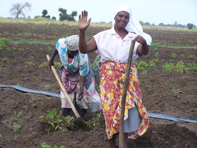 Maisto sistemų neįtraukimas į susitarimą dėl klimato yra nelaimės receptas – pasaulinės problemos