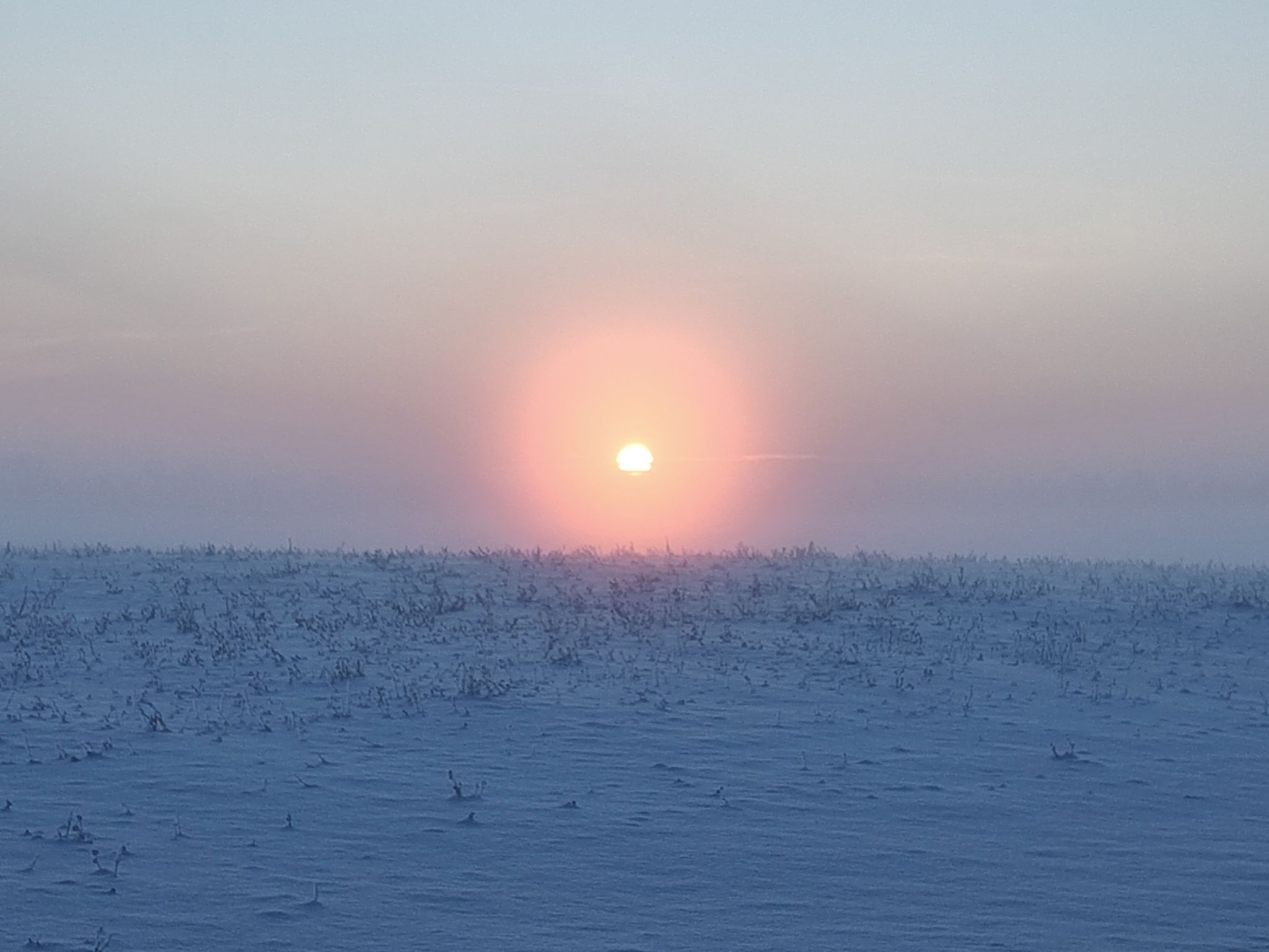 Kai prisninga – ieškom, ką užmėtyt: apie sniego valymą, konkursiukus ir amžiną kaltų paiešką