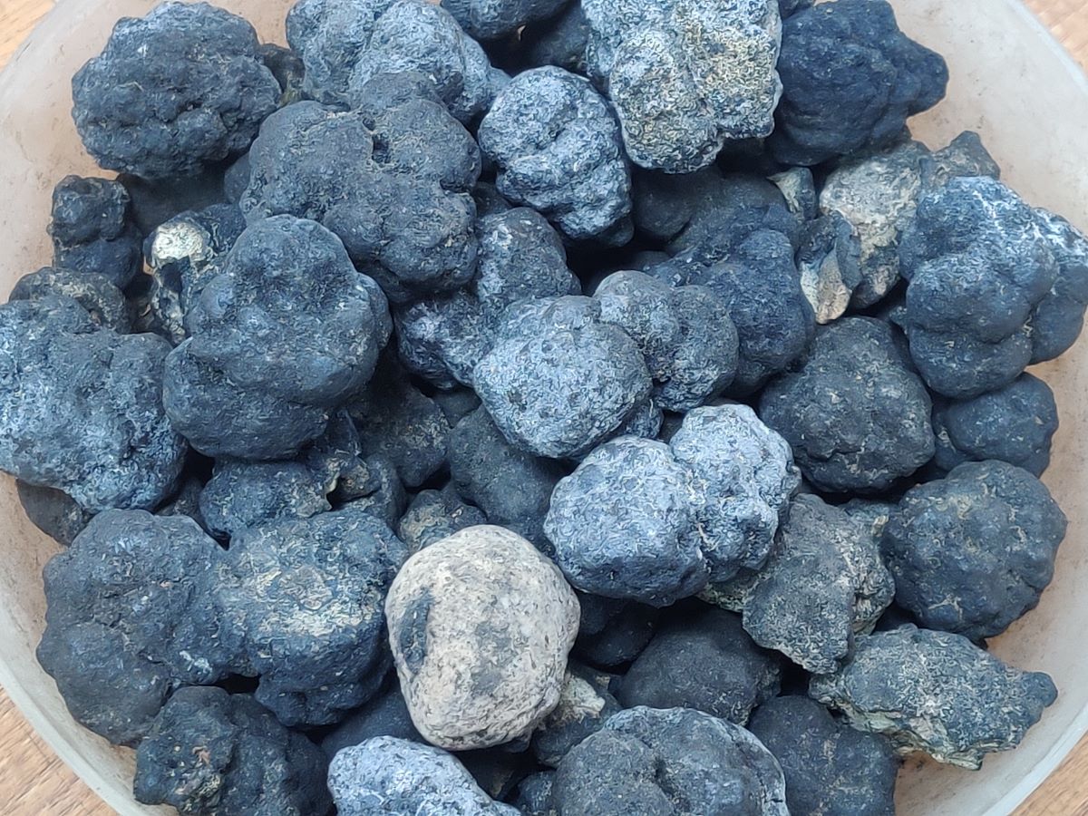 Tarptautinės jūros dugno tarnybos vadovas ragina ES palaikyti giliavandenės kasybos taisykles