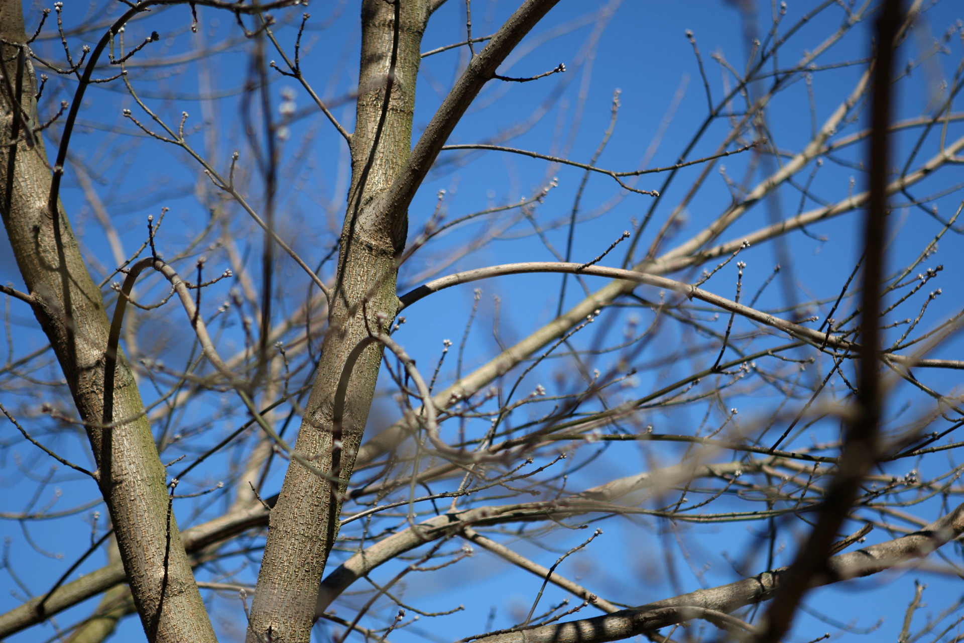 Kovas Lietuvoje buvo ne tik labai šiltas bei sausas, bet ir itin saulėtas