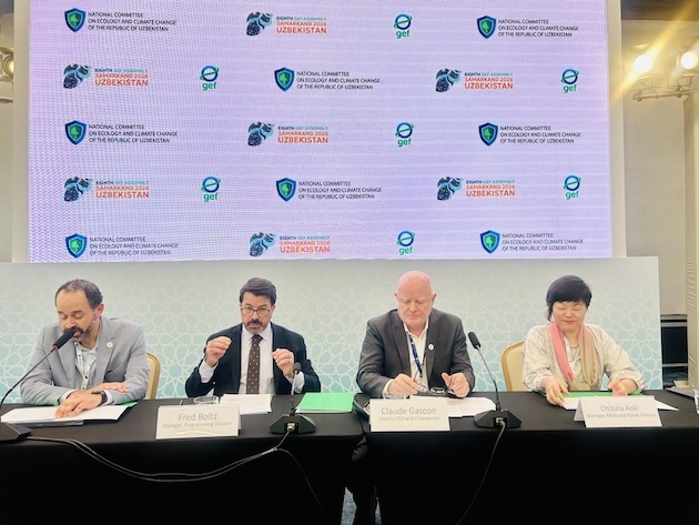 GEF skatina inovacijas, mišrius finansus prieš aštuntąją asamblėją – pasaulinės problemos